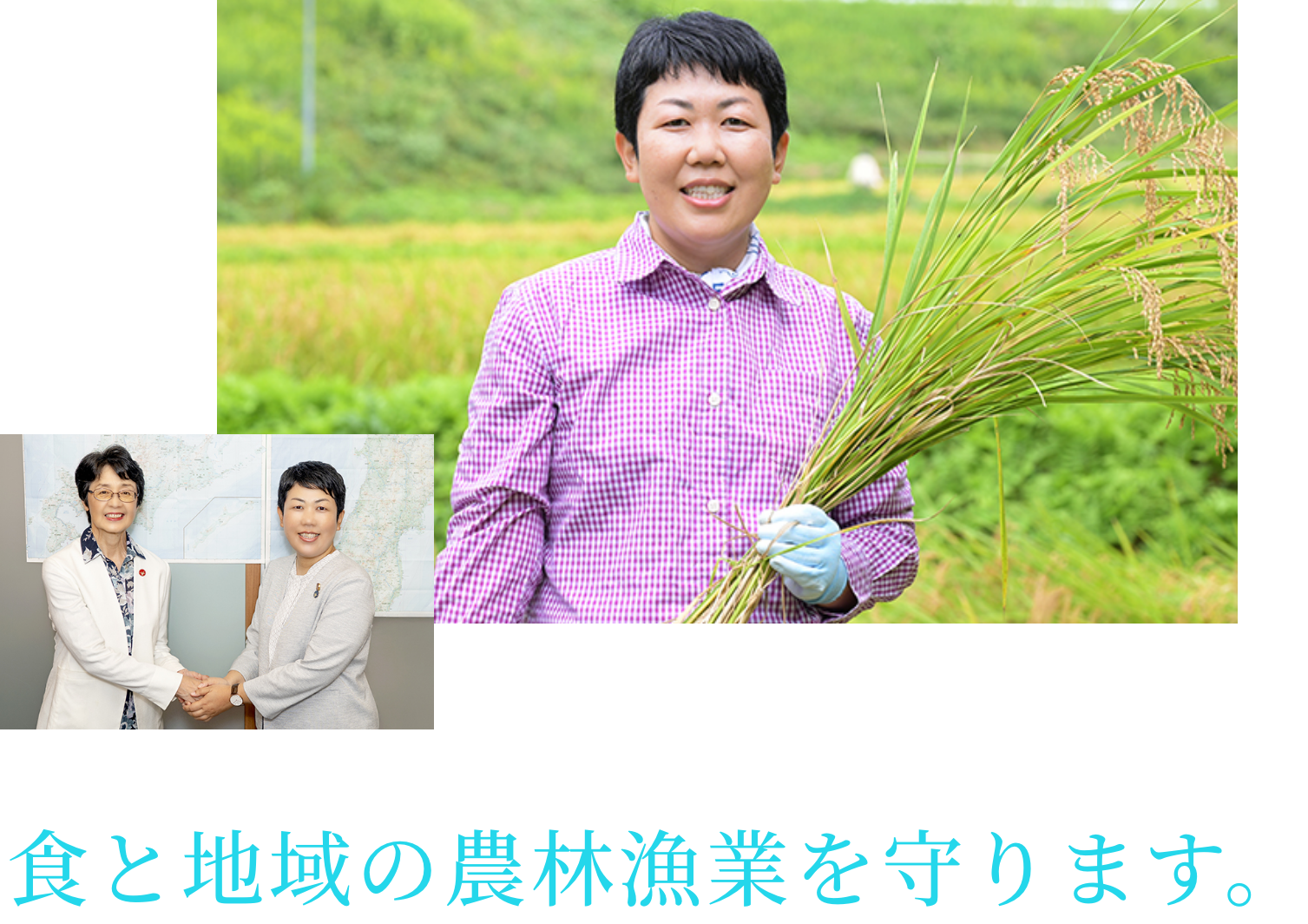 食と地域の農林漁業を守ります。