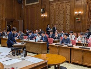 原発事故 終わっていない 岩渕氏「再稼働許されない」(予算委)